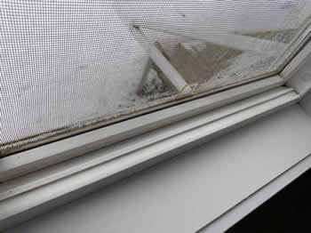 residential and commercial cleaning services, Edmonton