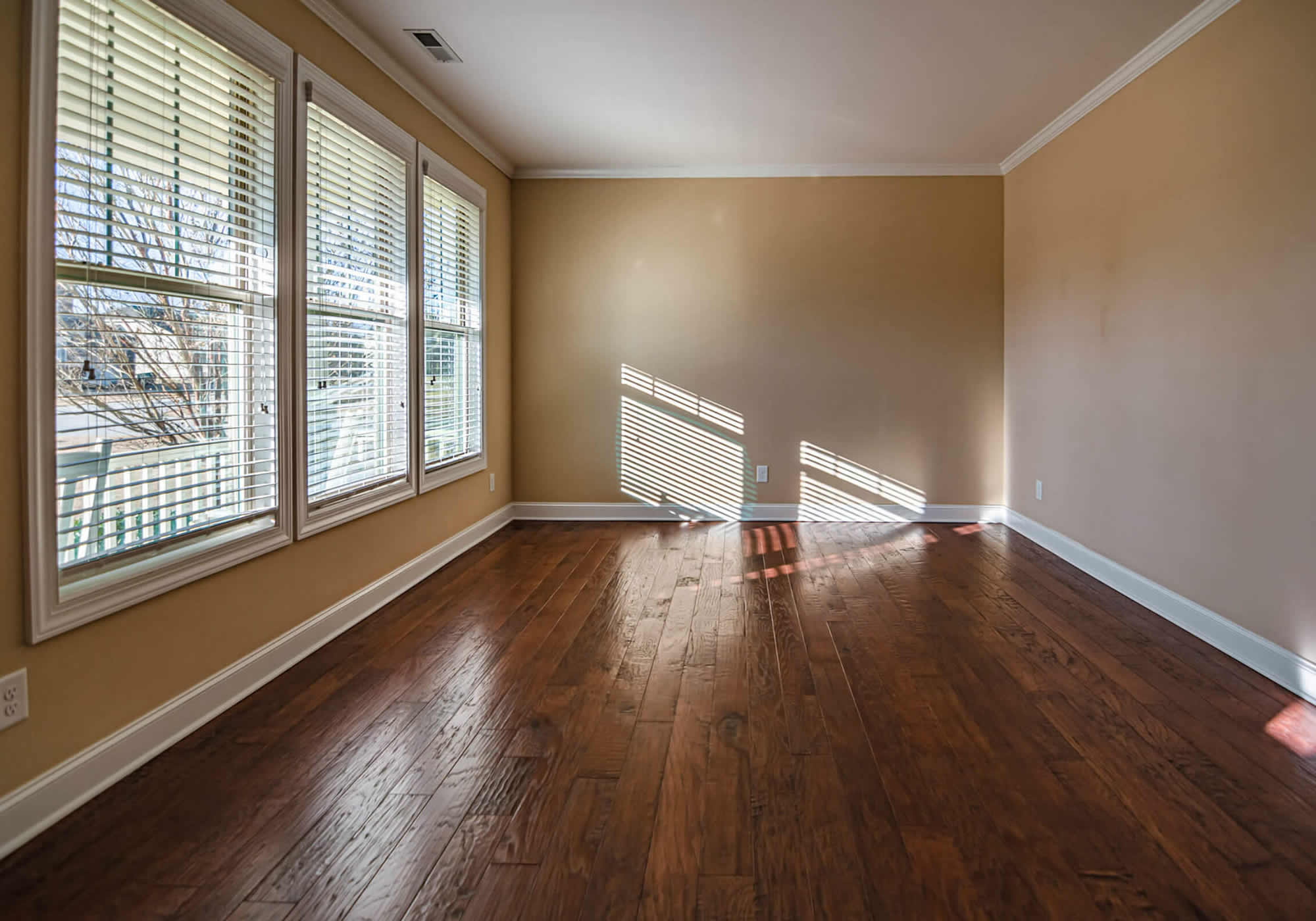 Move In/Move Out cleaning services