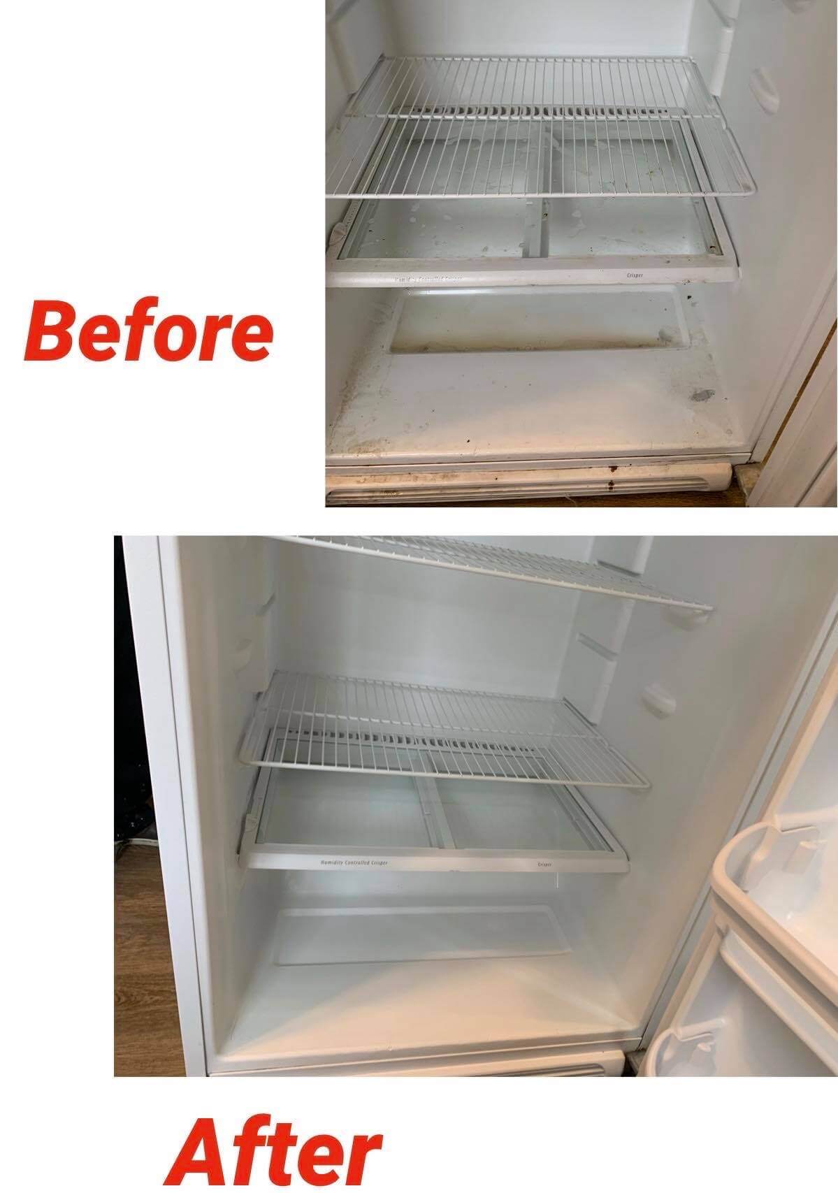 before and after, appliance cleaning, Edmonton